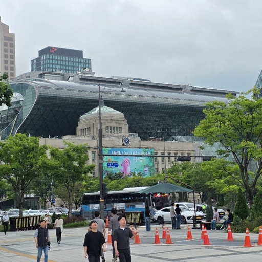 피드 이미지