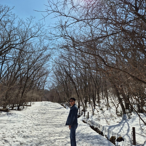 피드 이미지