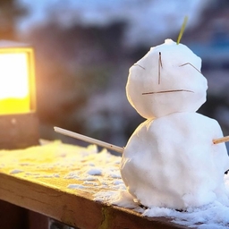 피드에 업로드 된 이미지