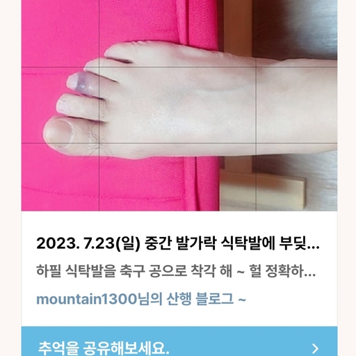 피드 이미지