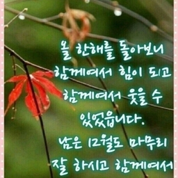 피드에 업로드 된 이미지