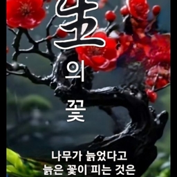 피드에 업로드 된 이미지