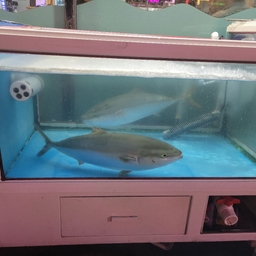 피드에 업로드 된 이미지