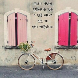 피드에 업로드 된 이미지