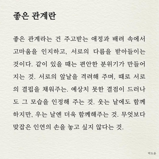 피드 이미지
