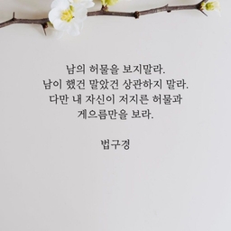 피드에 업로드 된 이미지