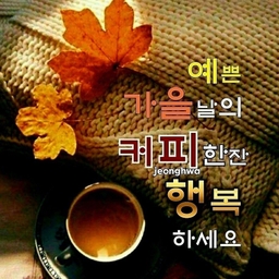 ํผ๋์ ์
๋ก๋ ๋ ์ด๋ฏธ์ง