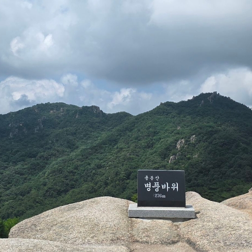피드 이미지