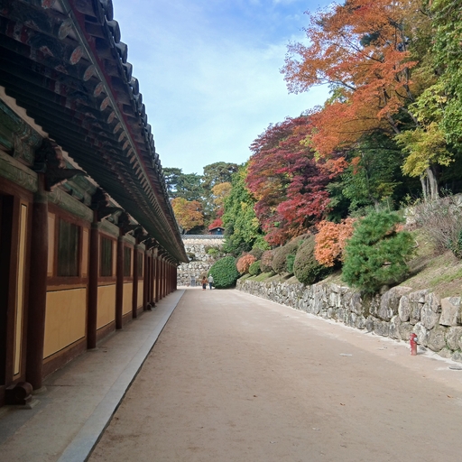 모임 대표 이미지