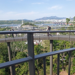 피드에 업로드 된 이미지