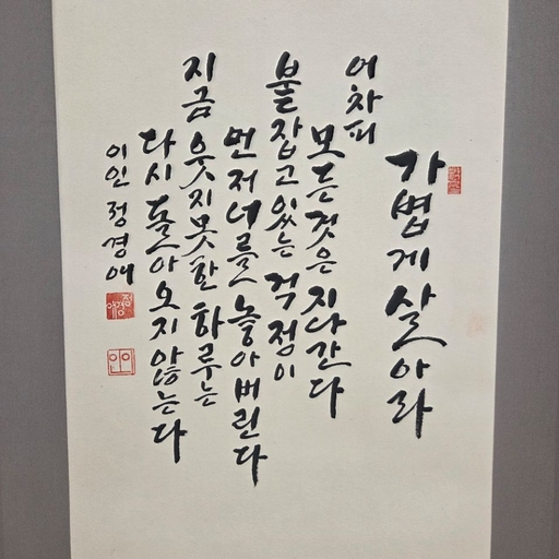 피드 이미지