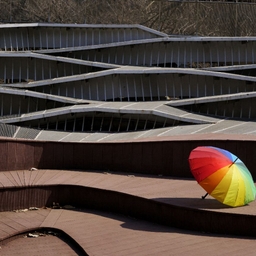 피드에 업로드 된 이미지