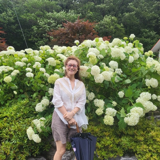 피드 이미지