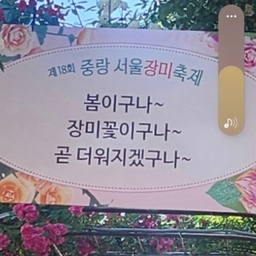 피드에 업로드 된 이미지
