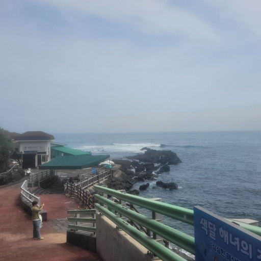 피드 이미지