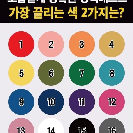 피드 이미지
