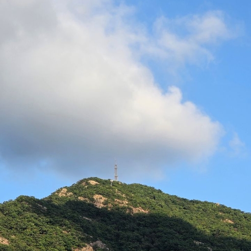 피드 이미지