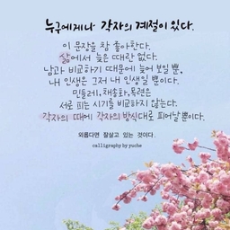 피드에 업로드 된 이미지