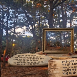 피드에 업로드 된 이미지