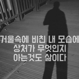 피드에 업로드 된 이미지