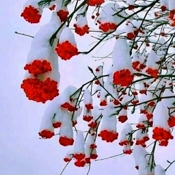 ํผ๋์ ์
๋ก๋ ๋ ์ด๋ฏธ์ง