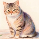 피드 작성자 프로필