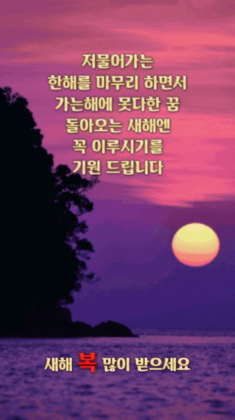 피드 이미지