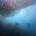 참가 유저 프로필