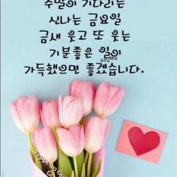 피드에 업로드 된 이미지