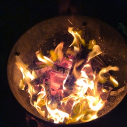 피드에 업로드 된 이미지