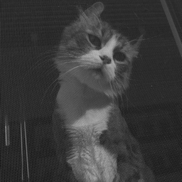 피드에 업로드 된 이미지