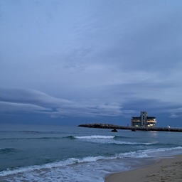 피드에 업로드 된 이미지