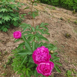 피드에 업로드 된 이미지