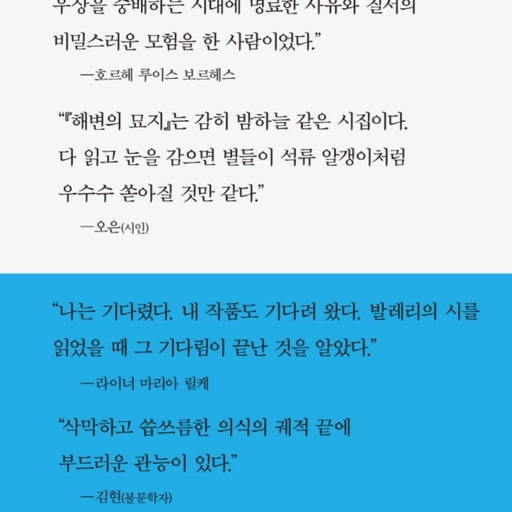 피드 이미지