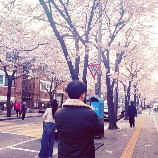 피드 이미지