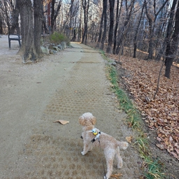 피드에 업로드 된 이미지