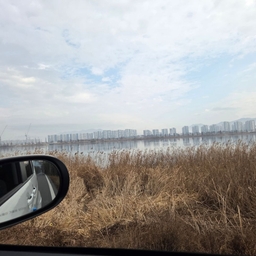 피드에 업로드 된 이미지