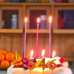 피드에 업로드 된 이미지