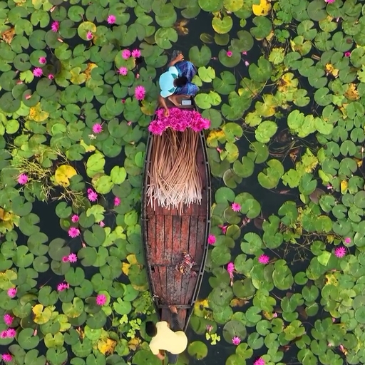 ํผ๋ ์ด๋ฏธ์ง