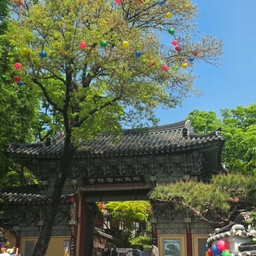 피드에 업로드 된 이미지