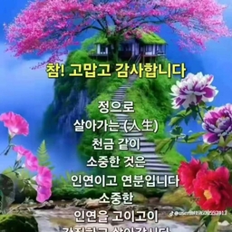 피드에 업로드 된 이미지