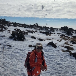 피드에 업로드 된 이미지