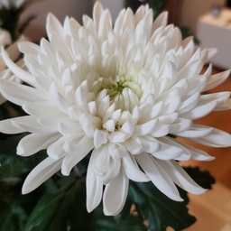 피드에 업로드 된 이미지