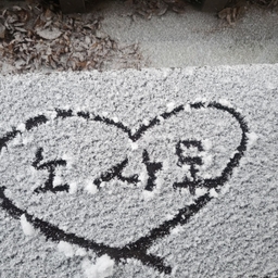 공지사항에 업로드 된 이미지