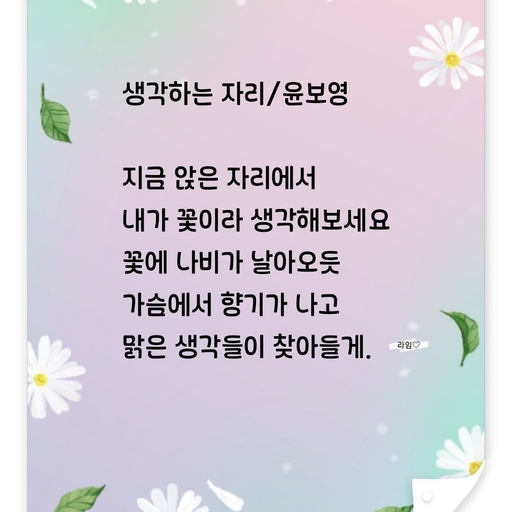피드 이미지