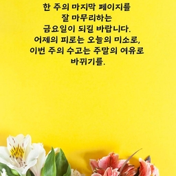 피드에 업로드 된 이미지