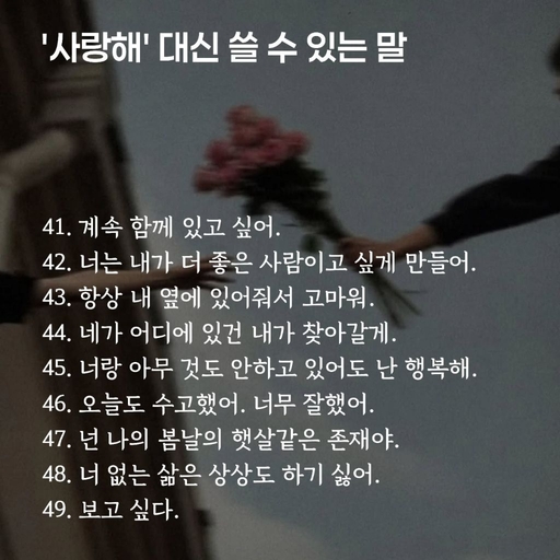 피드 이미지