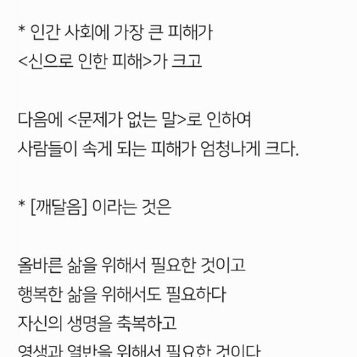 피드 이미지