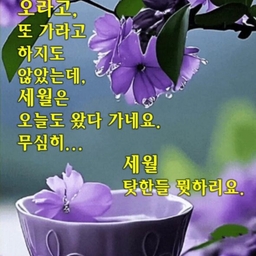 피드에 업로드 된 이미지