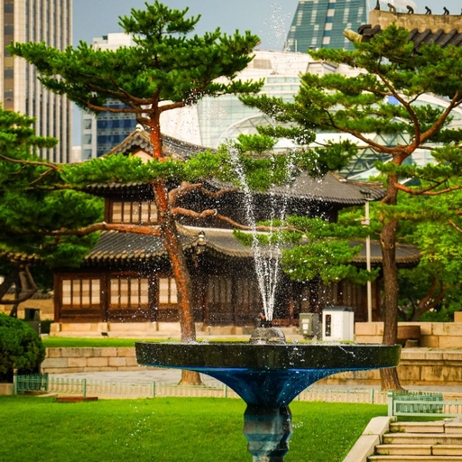 피드 이미지